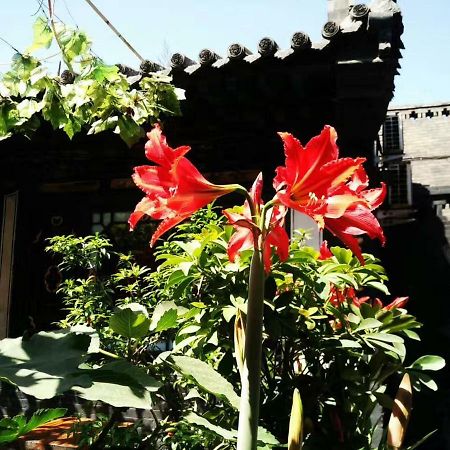 Pingyao Tian Yi Hostel Екстер'єр фото